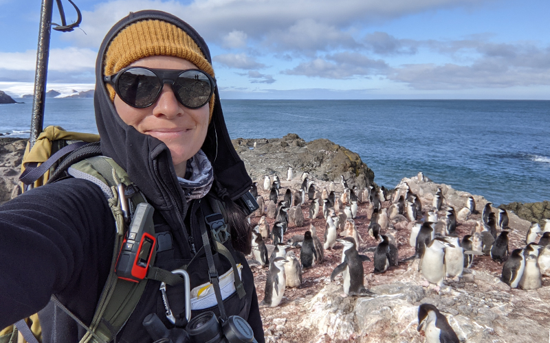 Diving into Seabird Science