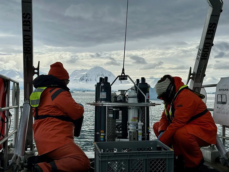 Researchers collect seawater in the Antarctic to study microbial food webs