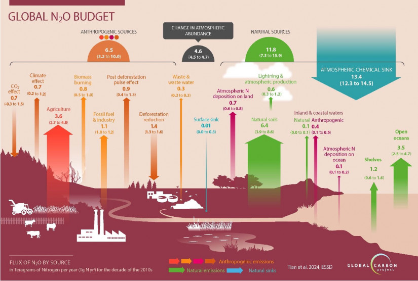 Global nitrous oxide budget. Graphic: Global Carbon Project