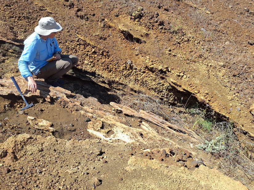 Scripps PhD student James Muller Investigating interlayered scoria lapilli deposits and lava flows along the flank of a scoria cone on central Guadalupe Island.