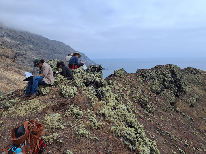 Recording geologic observations at the summit of a scoria cone near Campo Oeste. Cliff in background exposes volcanic strata of the southern shield volcano on Guadalupe Island. Left to right: Daniel Martínez Urrea (CONANP), Alejandra Reyes Torres (UABC), Marco Rodriguez Delgado (U Colima), Rebecca Ruwe (U Mainz).