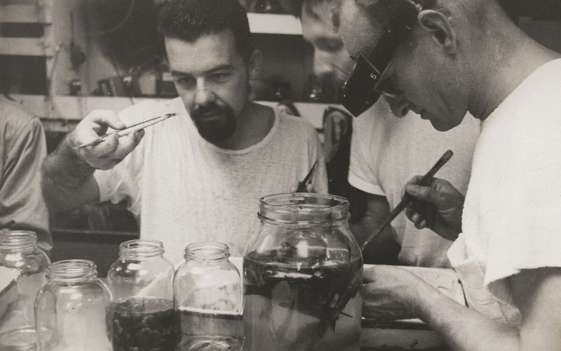 Researchers John McGowan and Bob Wisner with deep-sea marine life