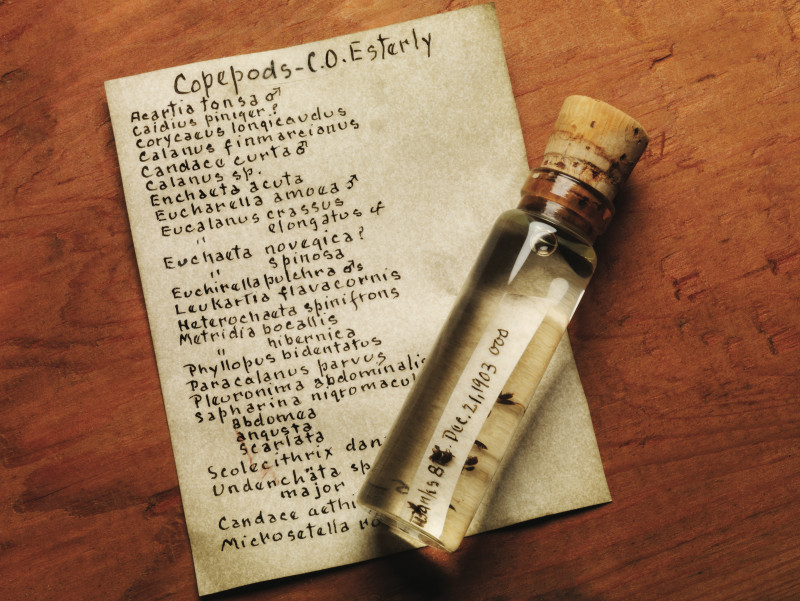 A vial of copepods collected in 1903