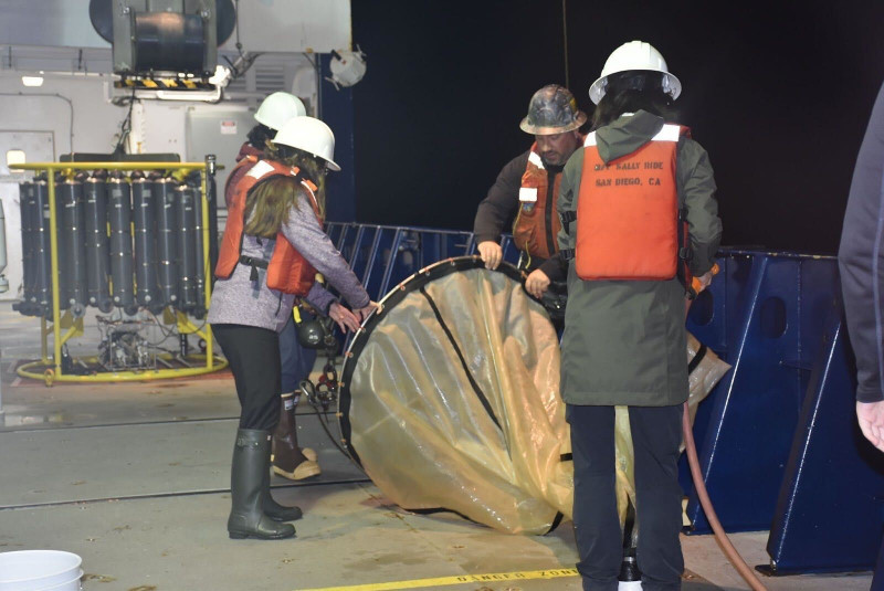 Scientists and students deployed net tows during the night.