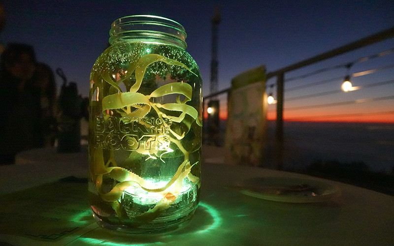 Handmade seaweed lanterns lit up the night. Photo: Kelly Tseng