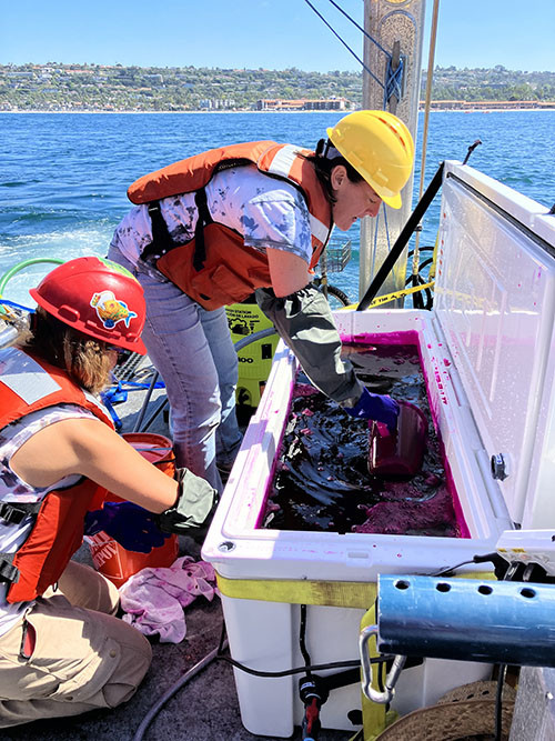 Two oceanographers mix pink dye on a boat