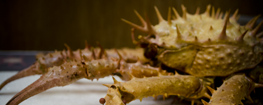 Benthic Invertebrates | Scripps Institution of Oceanography, UC San Diego