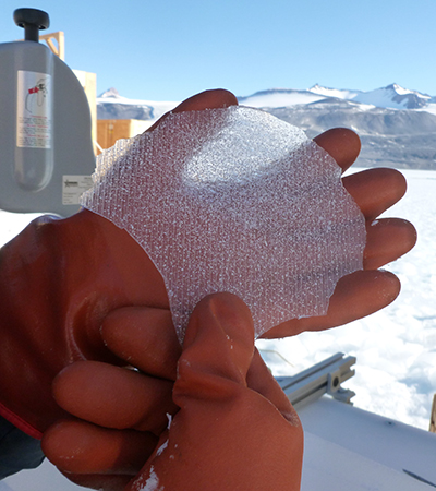 A thin section of an ice core at Taylor Glacier, Antarctica, showing bubbles that contain ancient air. Photo: Vas Petrenko/University of Rochester