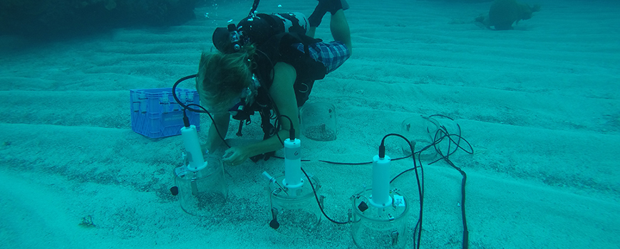 Scripps researcher Tyler Cyronak and test chambers in a study of ocean acidification effects on coral reef sediments in Bermuda