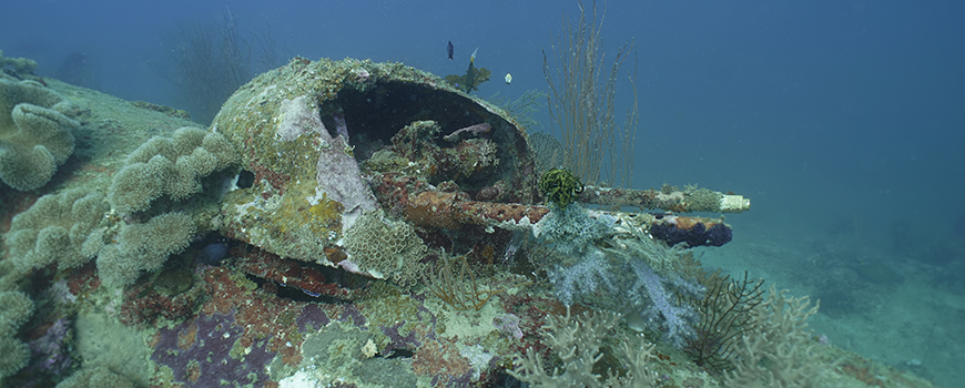 Gun turret of sunken World War II B-25 off Papua New Guinea