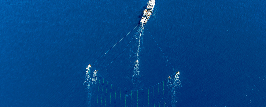 Scripps research vessel New Horizon tows a hydrophone array over the offshore fault