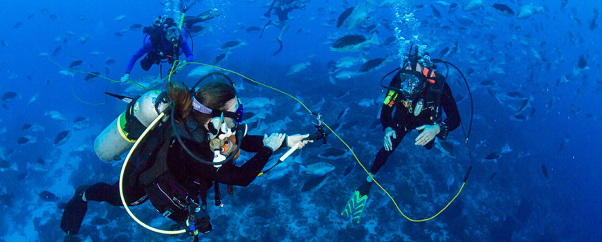 Brice Semmens (right) participates in a Google Hangout at a grouper spawning aggregation site. Photo: Joshua Stewart