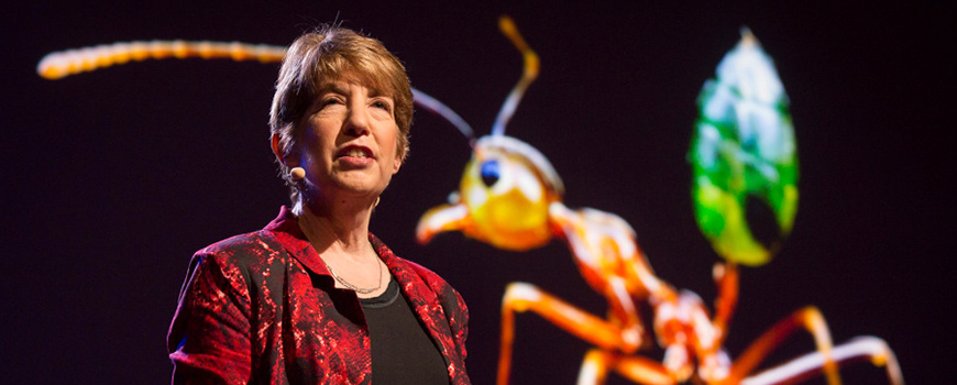 Marlene Zuk at TEDWomen 2015 presentation