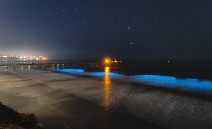 Glowing blue waves near a pier at night.
